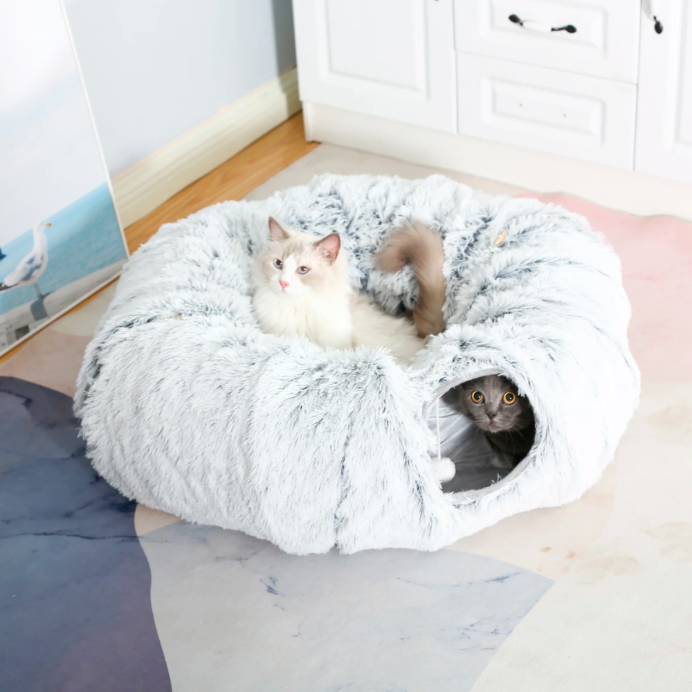 Snooze & Play™ Cat Bed