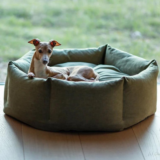 Cozy Paws Calming Dog Bed 2.0
