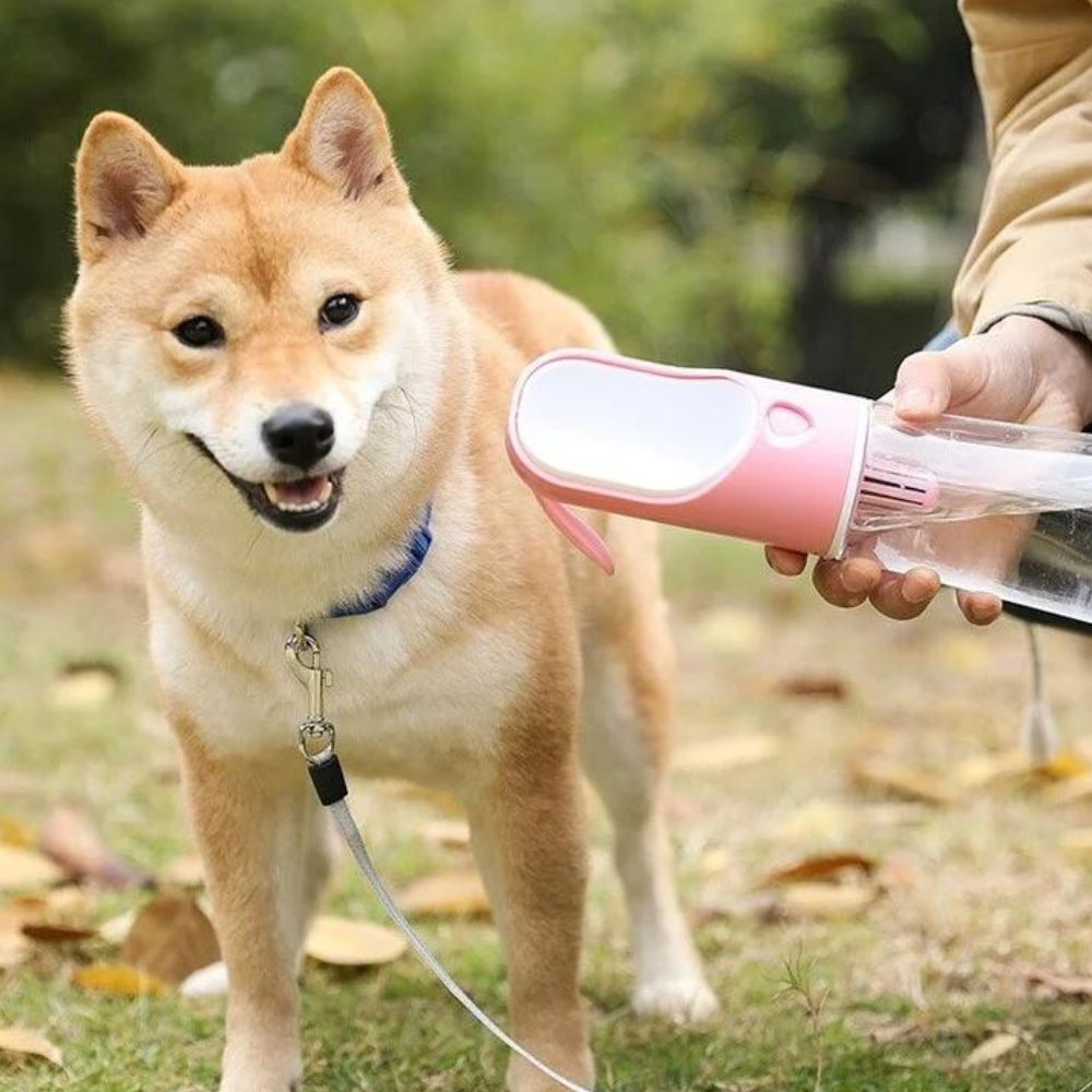 Portable Pet Water Bottle With Health Filter
