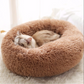 Cozy Paws Calming Cat Bed