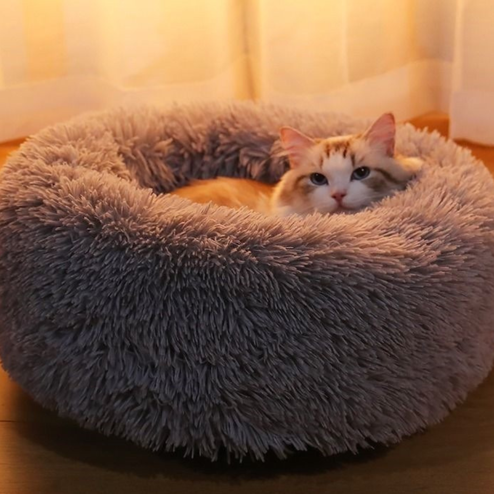 Cozy Paws Calming Cat Bed