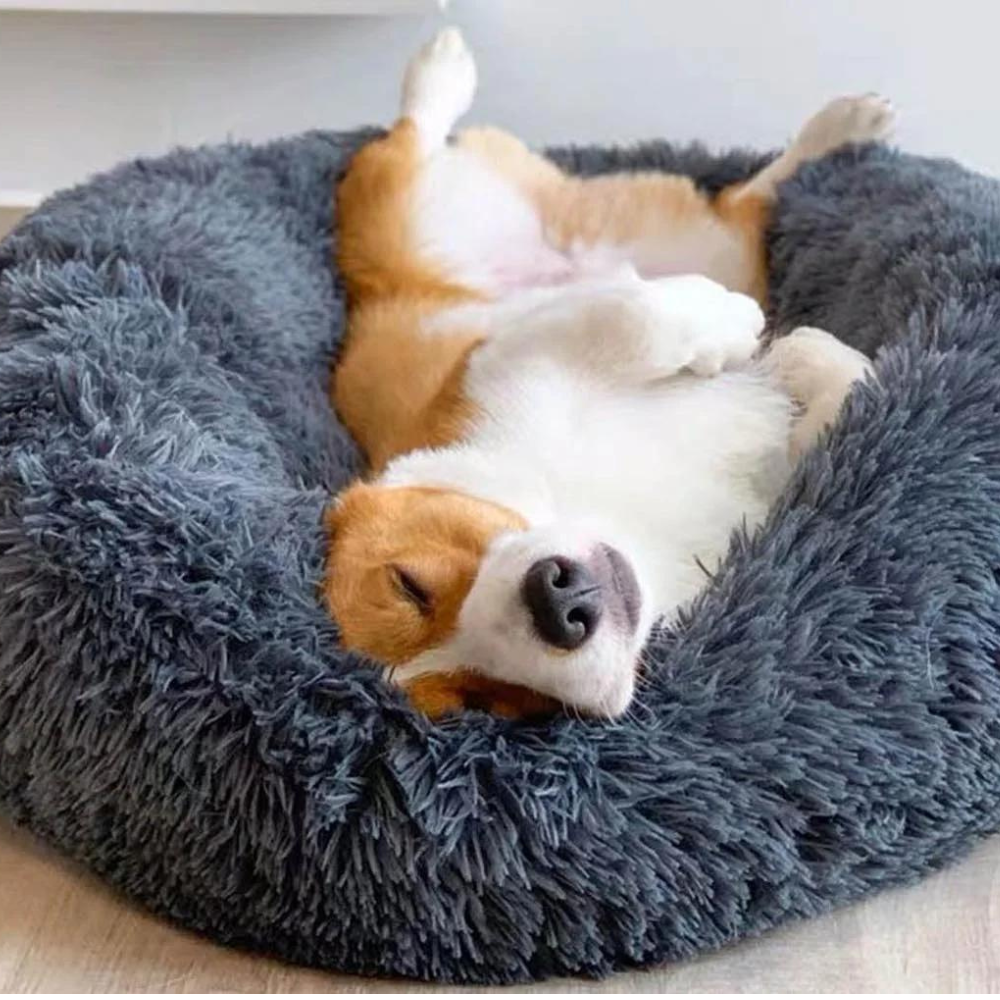 Cozy Paws Calming Dog Bed